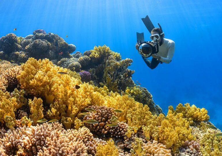 Saudi Arabia launches project to rehabilitate degraded lands