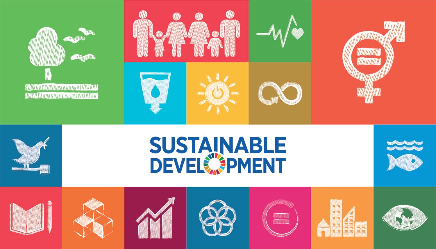 توسيع دور الجامعات في التنمية المستدامة