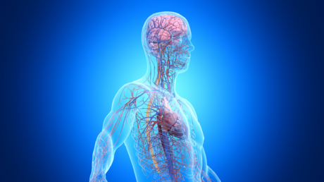 Anatomy Books: Do They Reveal All Secrets of Our Bodies?