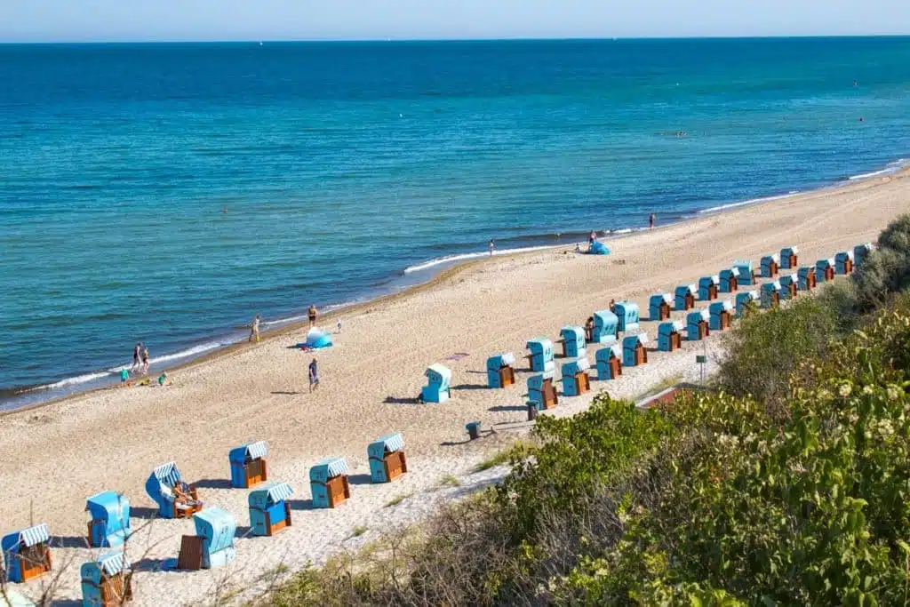 Hoffnungen auf Rettung des gestrandeten Wals schwinden