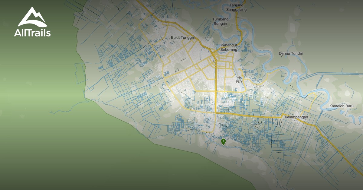 Drogenfreie Zone in Indonesien: Projekt in Ponton