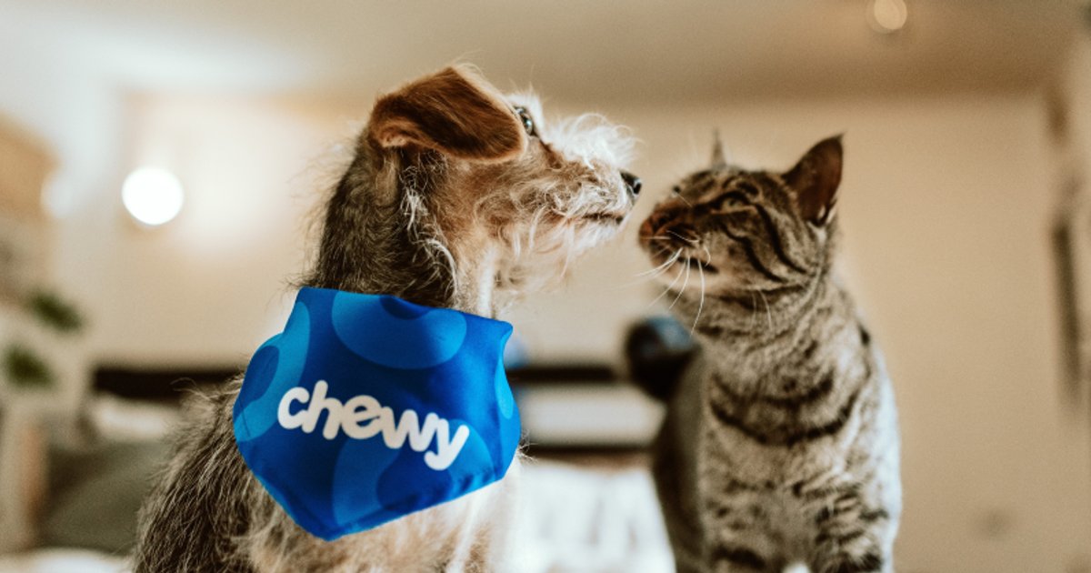 Réductions Chewy sur les fournitures pour animaux en avril 2026