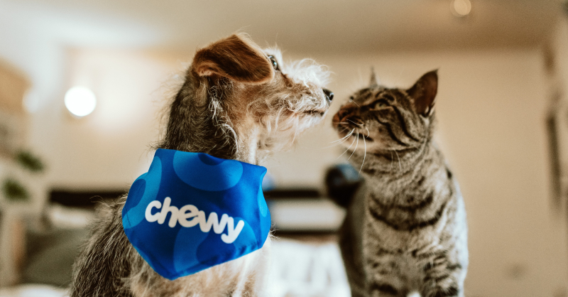 خصومات Chewy على مستلزمات الحيوانات الأليفة في أبريل 2026