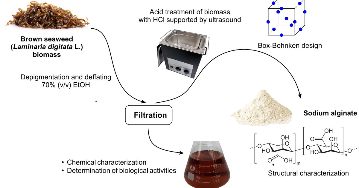 الألجينات: بديل مستدام للمنتجات البترولية