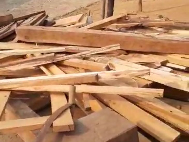 ضبط 69 مخالفًا بحوزتهم حطب محلي في حملة لحماية البيئة