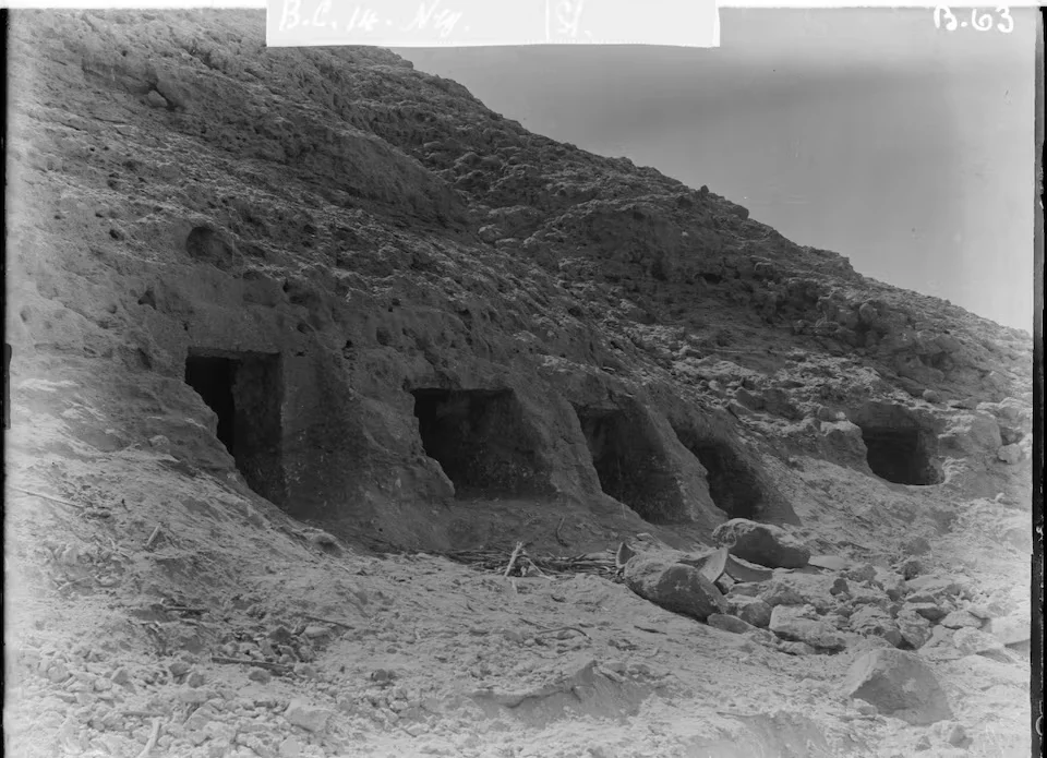 البصمة الجينية للمصريين: 17 مليون تباين وراثي