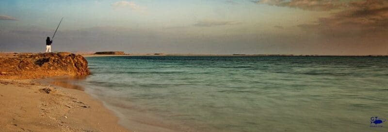 Interdiction de la pêche du najel et du taradi en Arabie Saoudite