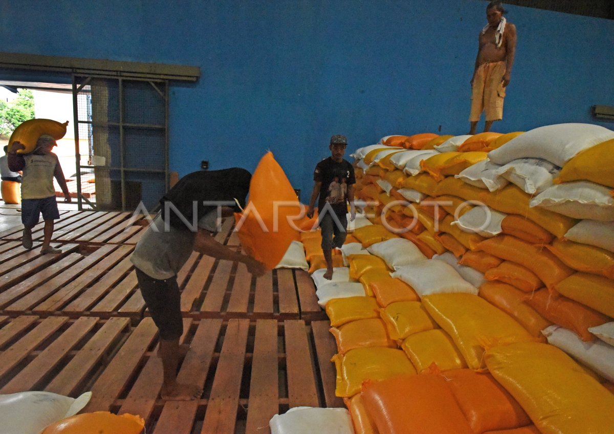 زيادة مخزون الأرز في إندونيسيا