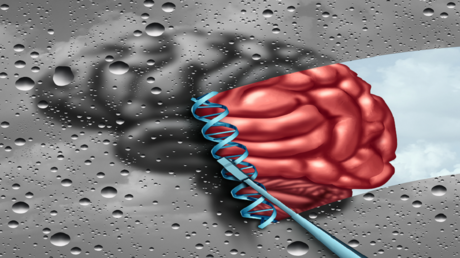 Disparité de diagnostic entre les sexes dans l'autisme