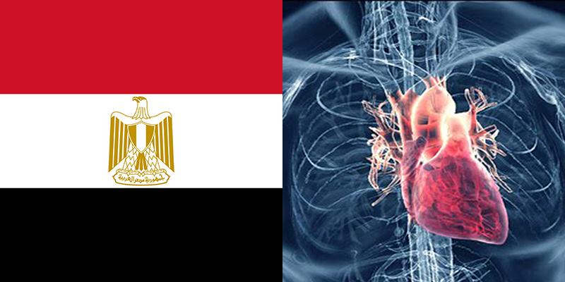 مبادرة قلبك أمانة: فحص 50 ألف مواطن بالدقهلية