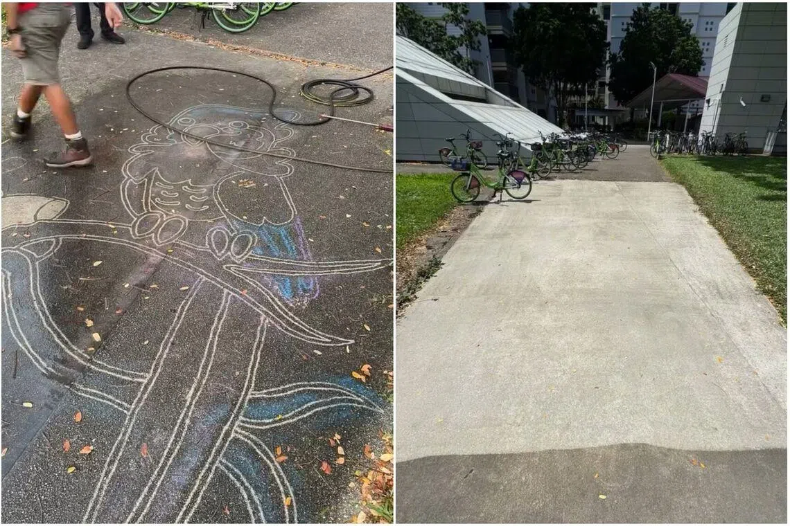 Entfernung eines Druckwaschkunsstücks in Singapur