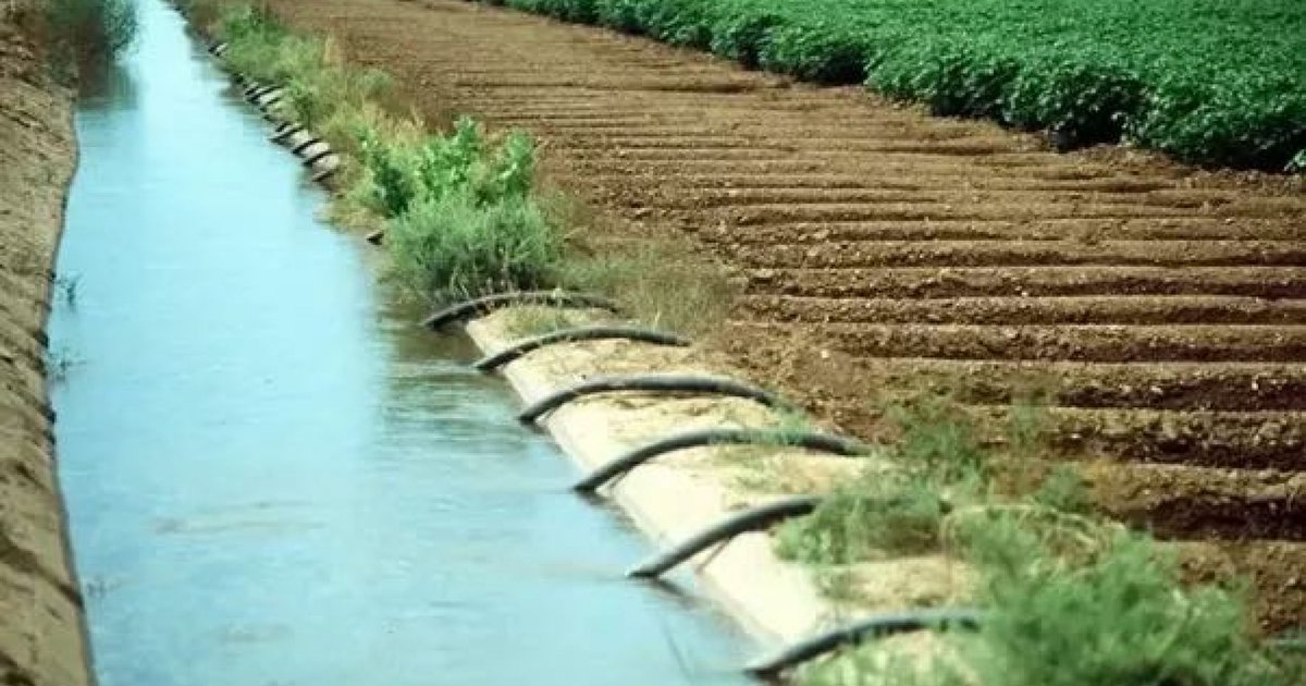 خطط جديدة لضمان استمرارية تشغيل القناطر في مصر