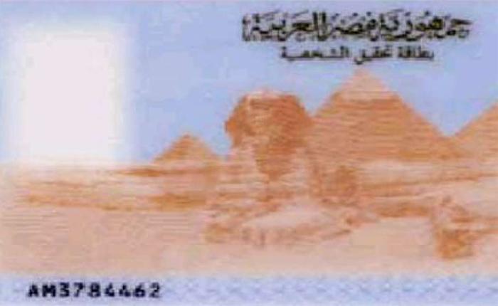 Rechtsanwältin: Verbindung von Regierungsdiensten mit nationaler ID