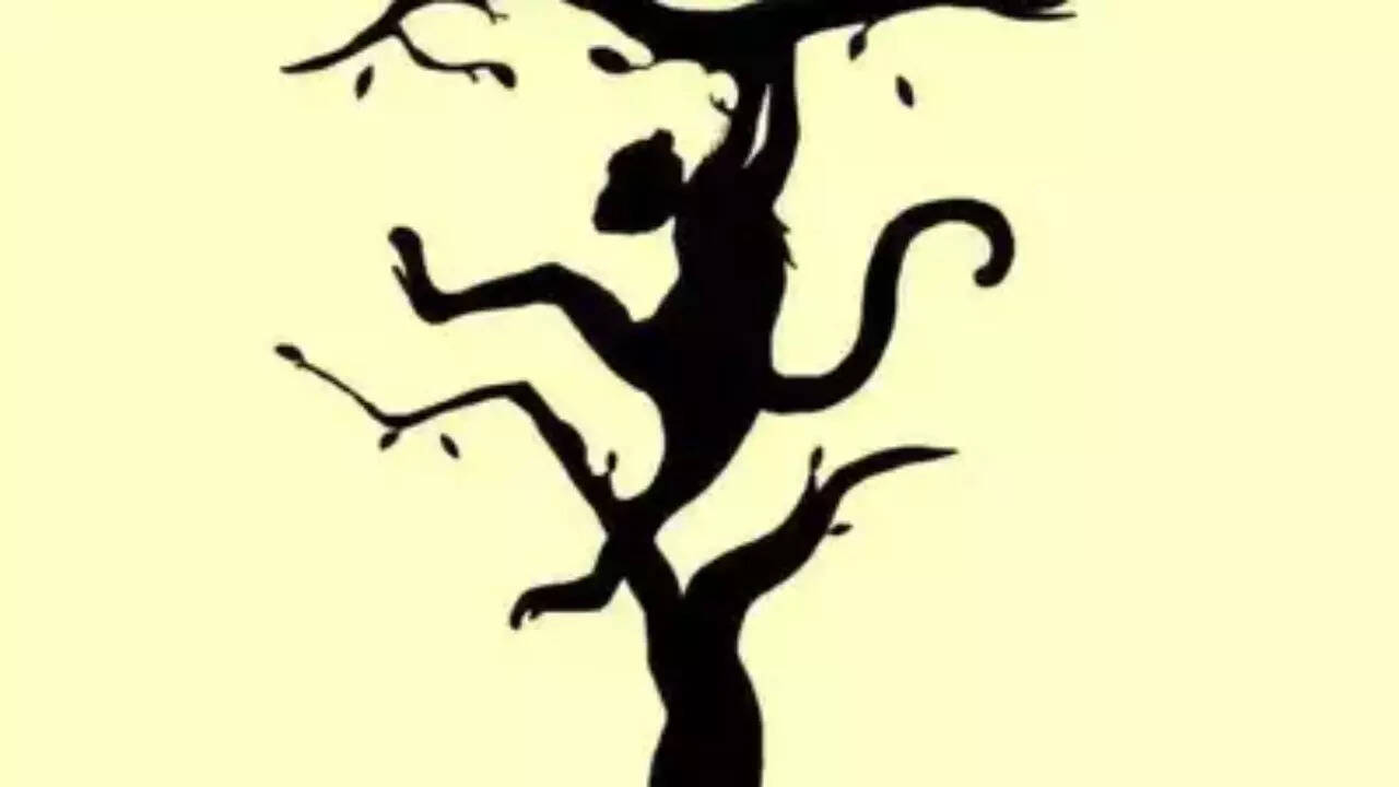 Test visuel : découvrez votre nature artistique ou rationnelle