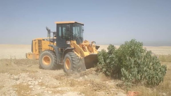 إزالة تعديات الأراضي الزراعية في الأقصر