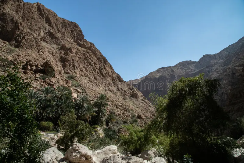 Wadi Al-Harq: Enchanting Destination for Nature Lovers