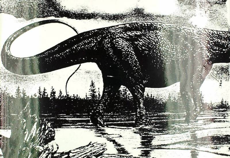 Resume city bus services to improve public transport