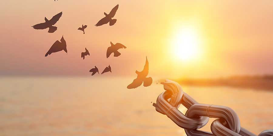 Kauf von finanzieller Gnade online: Neue Plattform sorgt für Aufregung