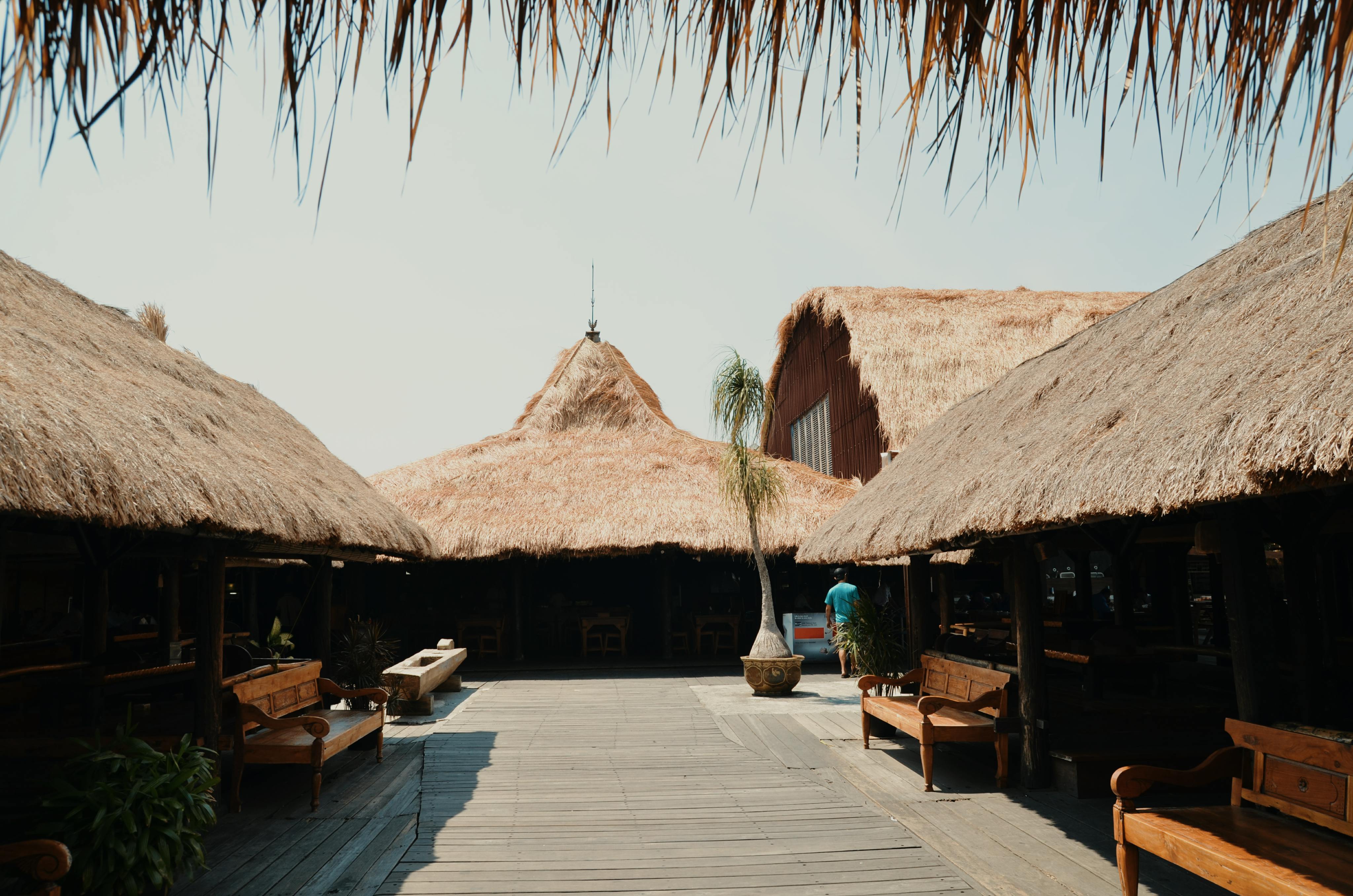 تطوير وقود بديل من زيت النخيل في إندونيسيا