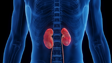 Gum Disease and Its Impact on Kidney Health