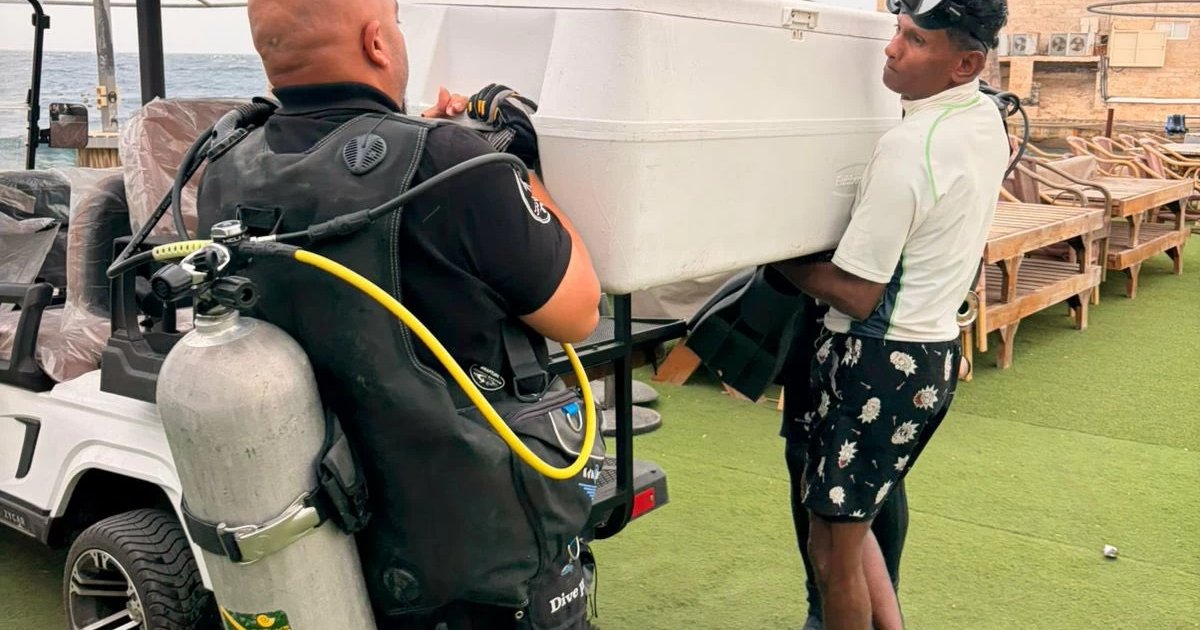 Sauver un requin gris à Jeddah - Protection de la vie marine