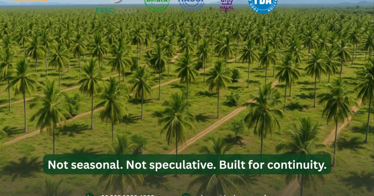 Indonesia's Exports Show Positive Growth in February 2026