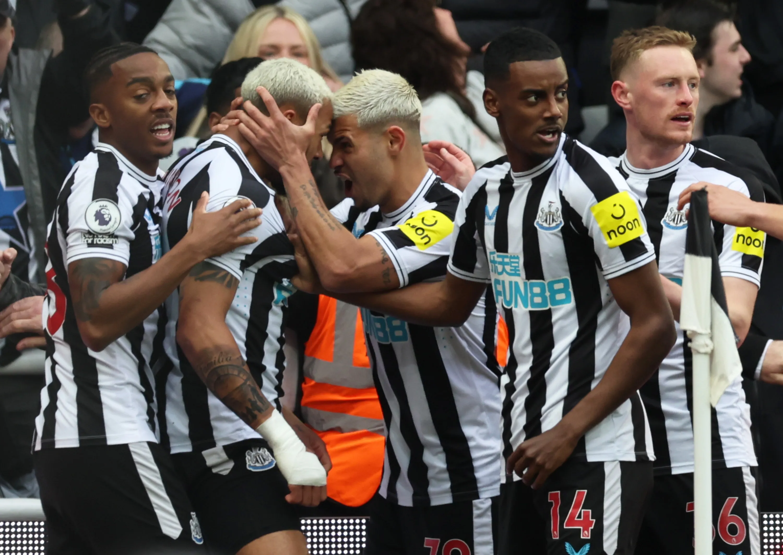 أرسنال يخطط للتعاقد مع نجم نيوكاسل لتعزيز صفوفه