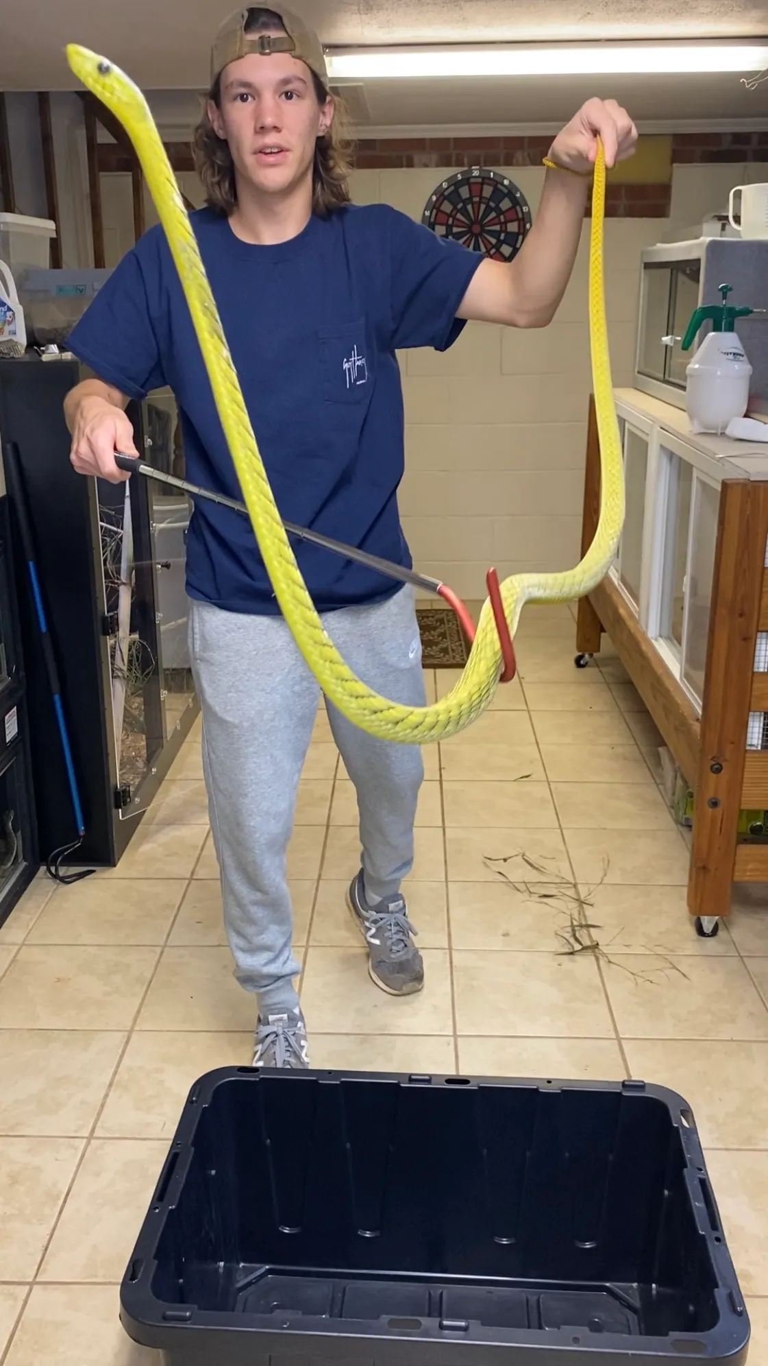 مضادات السم: كيف تنقذ حدائق الحيوان ضحايا لدغات الثعابين