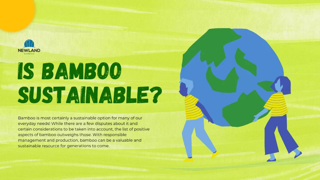 Bamboo : nouveau produit pour la durabilité dans les industries