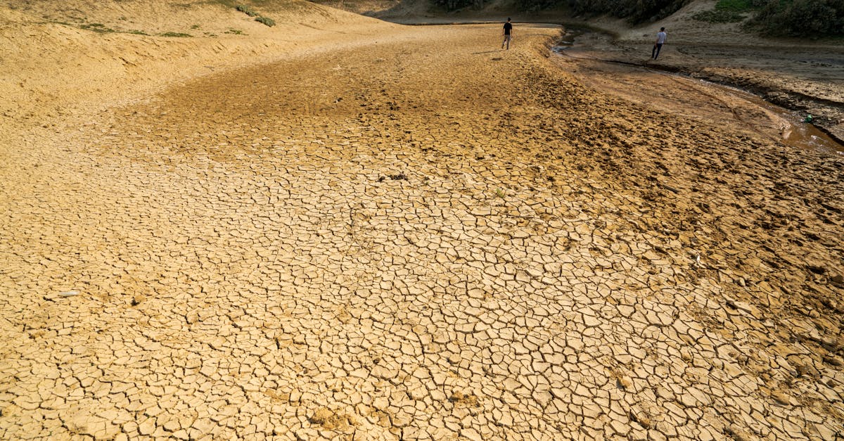 مايو 2026 يسجل درجات حرارة قياسية عالمياً