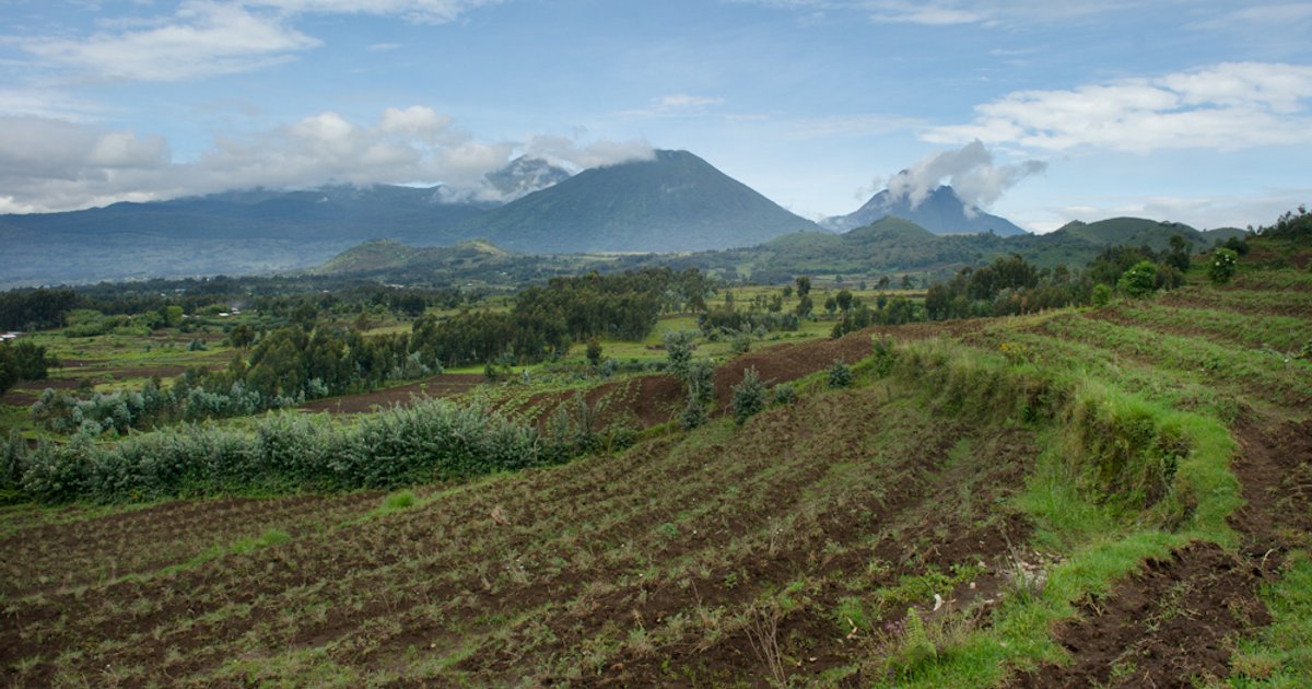 حماية الأراضي الزراعية في روندا