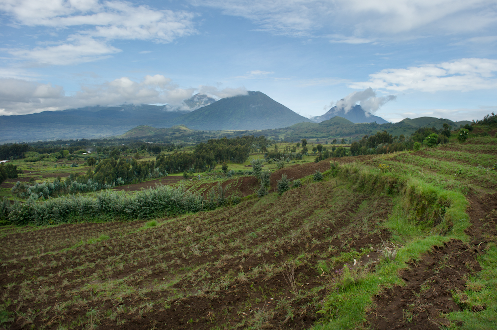 حماية الأراضي الزراعية في روندا