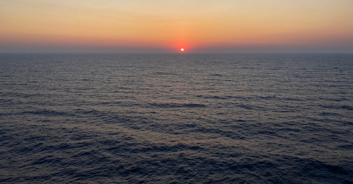 استقرار الدولار الأمريكي قبل مهلة ترامب لإيران