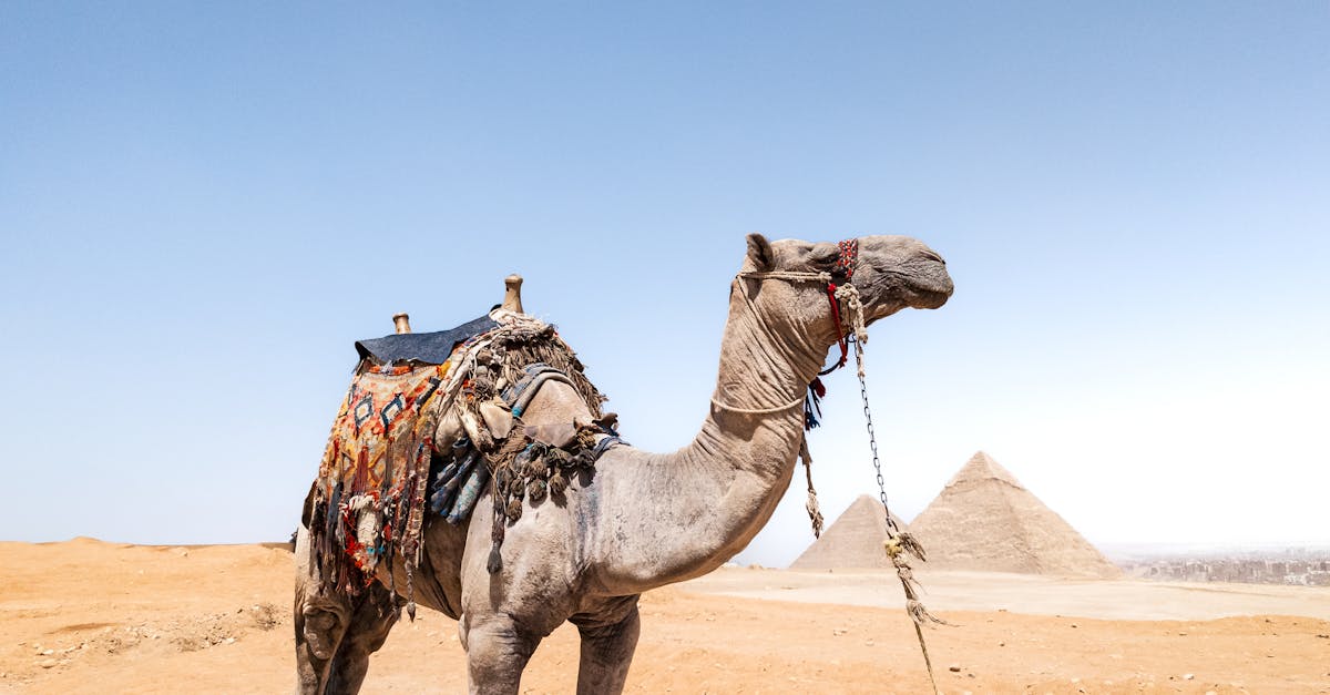 مصر تطبق التوقيت الصيفي 2026 وتلغي الشتوي