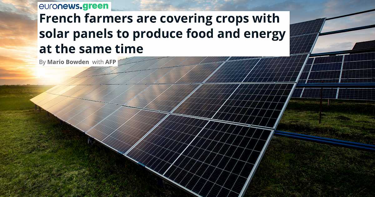 فرنسا تسارع في تشريع لحماية مزارعيها