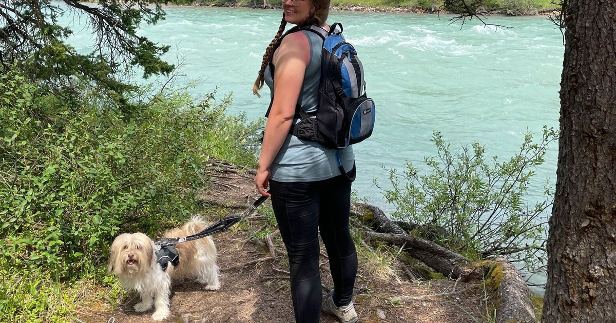 تحذيرات للمتنزهين خلال العطلة من الأمن وإدارة الأزمات