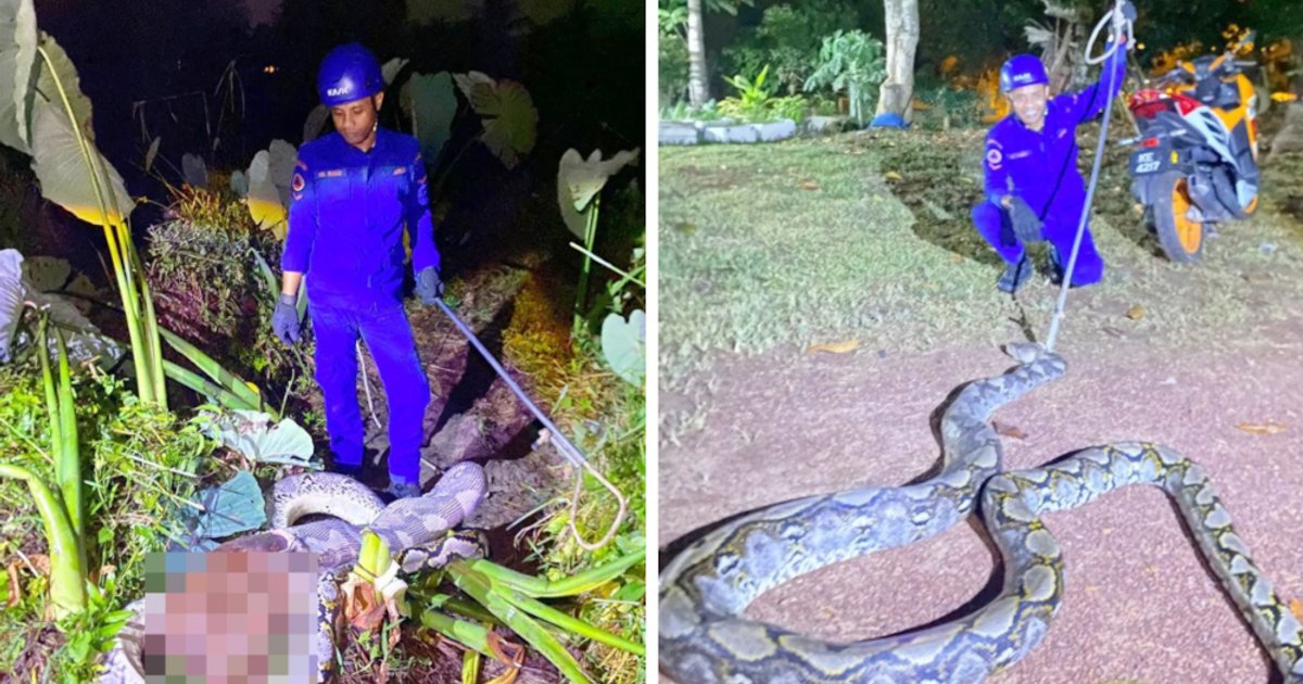 Discuss Federal Management Issues in Malaysia