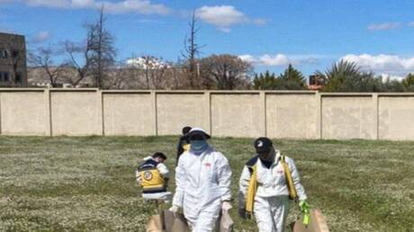 العثور على مقبرة جماعية في معضمية الشام