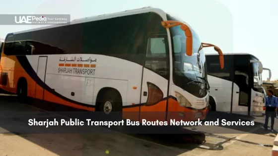 Resume Intercity Bus Services in Sharjah After Heavy Rains
