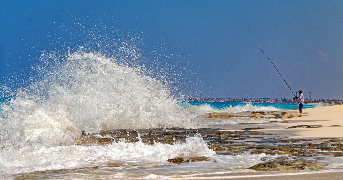 Nouvelles opportunités d'emploi sur la côte nord et à Matrouh