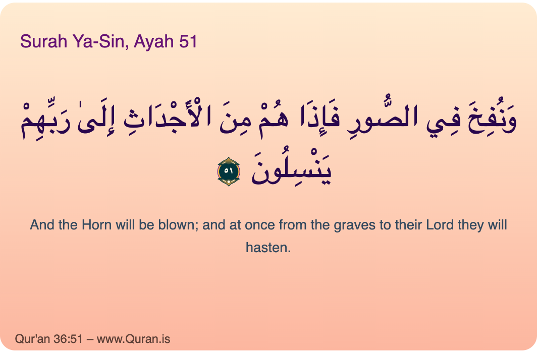 الجوارح تشهد على الإنسان يوم القيامة وفقاً للقرآن