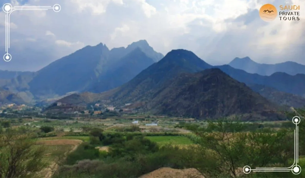 314 طالبًا في أولمبياد نسمو بتعليم الباحة