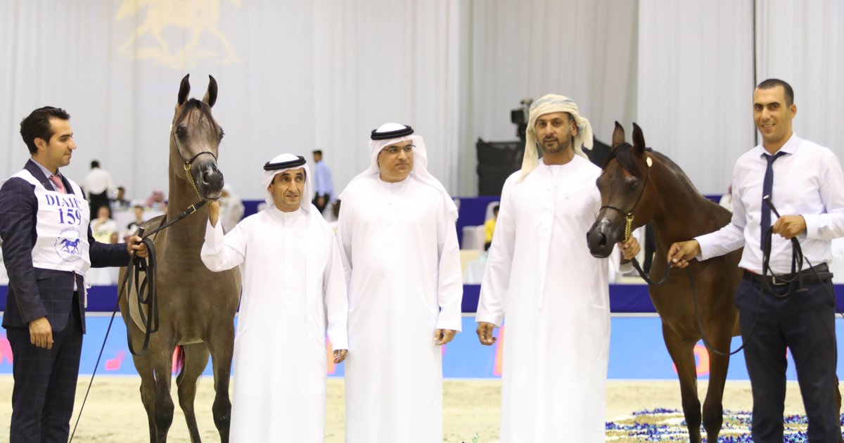 تتويج أبطال «دولية الجواد العربي» في دبي