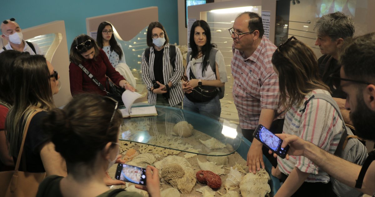 Meeresschutzgebiet Aqaba: Ein Paradies für Meeresleben