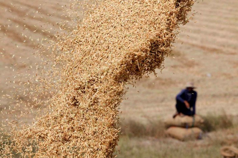 ظاهرة إل نينيو تهدد الزراعة في تايلاند