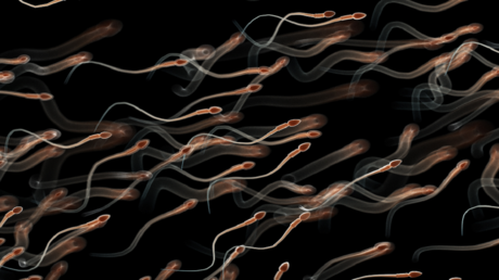 أولمبياد سباق الحيوانات المنوية في سان فرانسيسكو