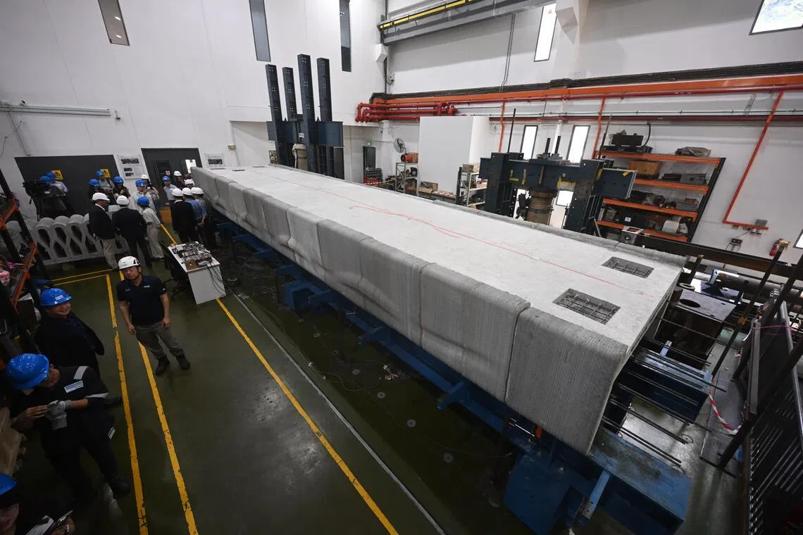 جسر مشاة مطبوع بتقنية ثلاثية الأبعاد في سنغافورة