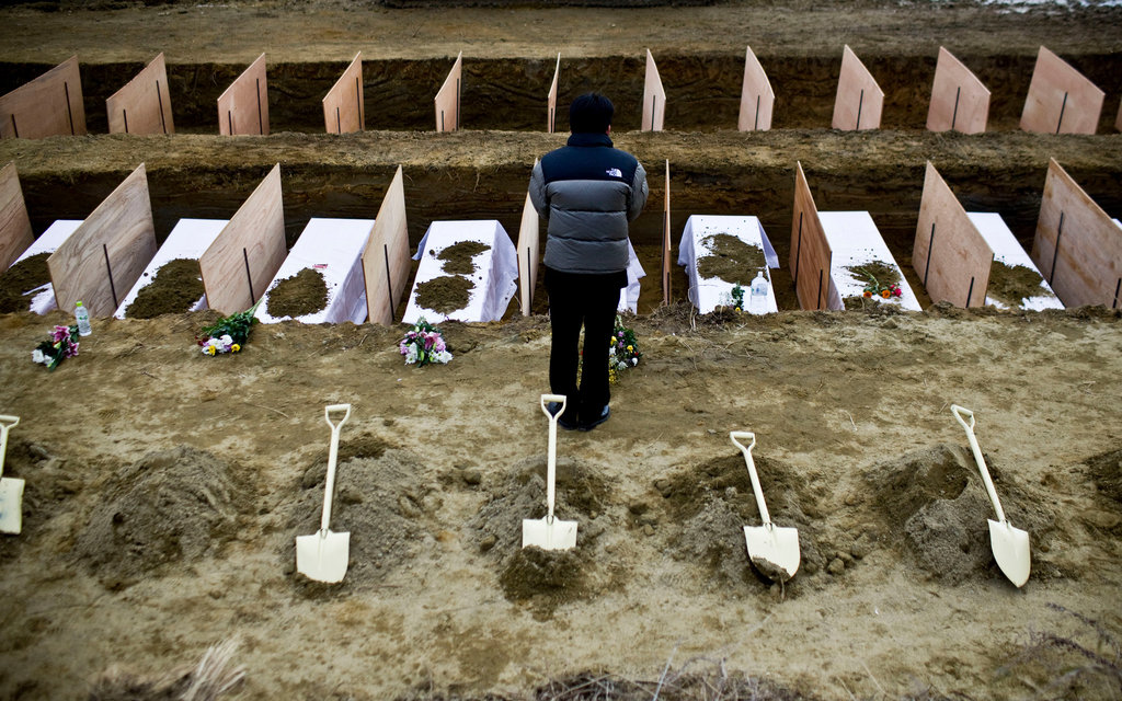 تحقيقات في اليابان حول استخدام حديقة حيوانات للتخلص من جثة الزوجة