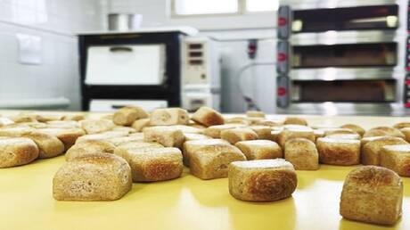 خبز روسي جديد بصلاحية تخزين لعامين