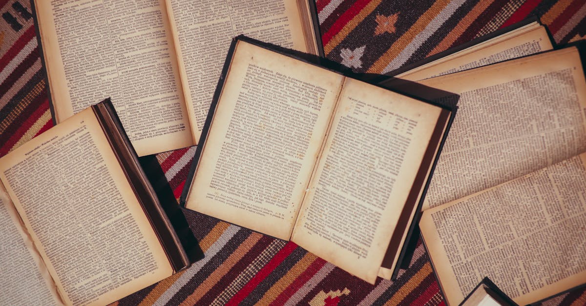 تعزيز التعاون الثقافي بين إندونيسيا وفرنسا